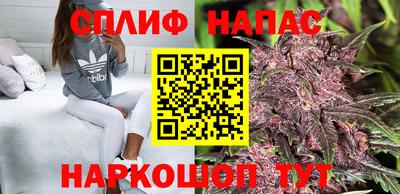 альфа пвп Гатчина
