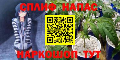 apvp Гай