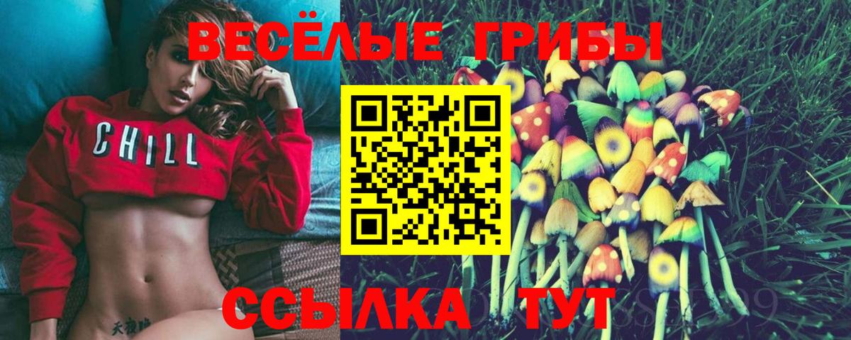 Галлюциногенные грибы Psilocybine cubensis Надым