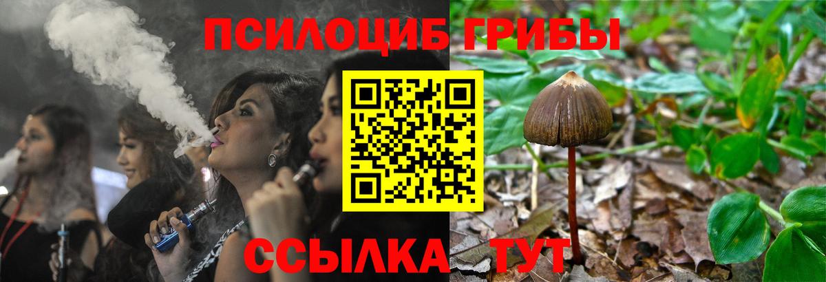 Надым  Галлюциногенные грибы Cubensis  Вход с VPN 